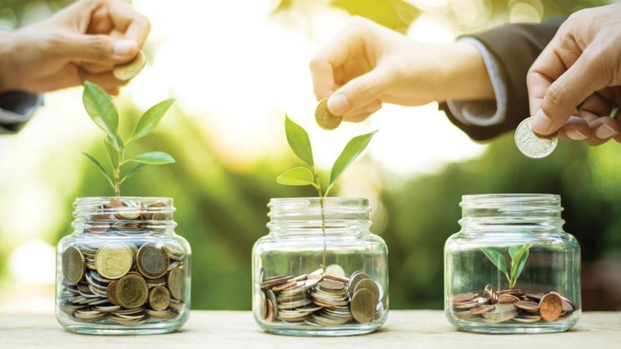 jars of coins with seedlings growing from them