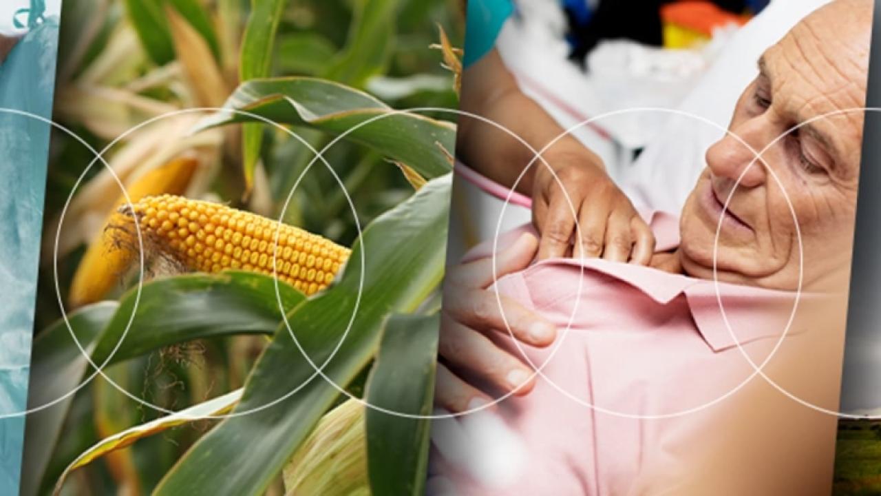 Collage of medical worker, crops and patient 