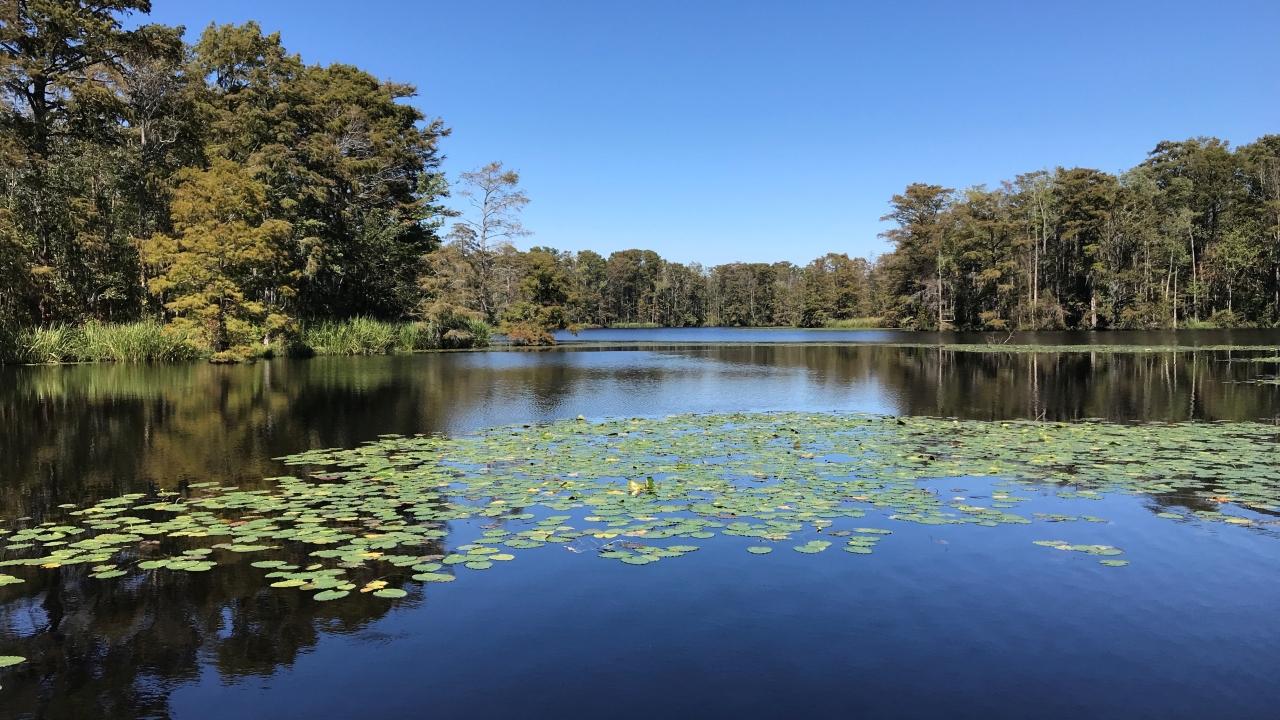 View of Keel Creek
