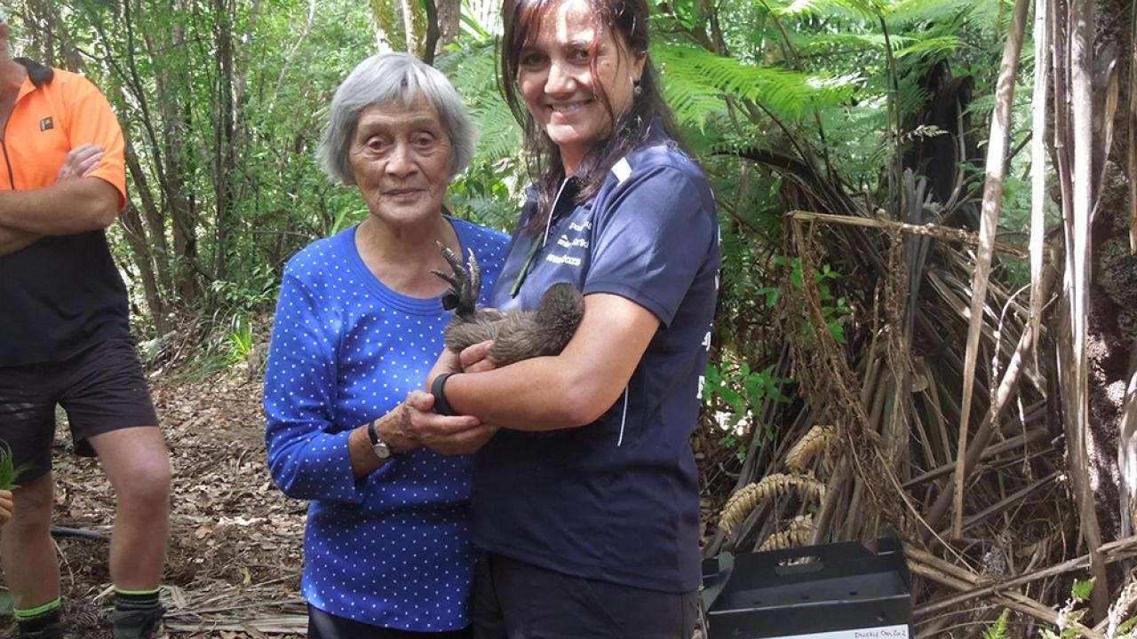 A person holding a Kiwi bird and another elder holding their arm. Both standing in a wooded area. A box with "Kiwi on the move" on the ground next to them.