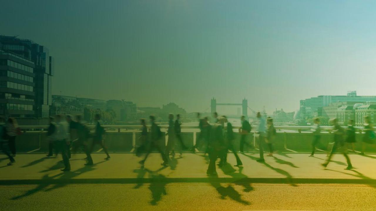 People walking on a path