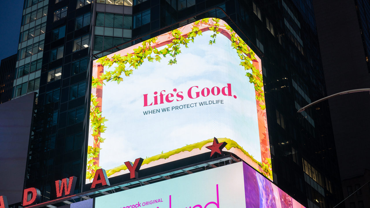 Lit billboard: "Life's Good when we protect wildlife"