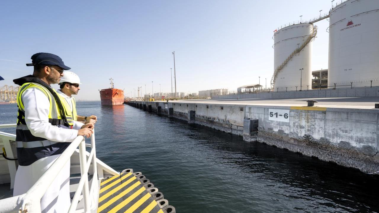 DP World employees observe Living Seawalls panels installed along a quay wall at Jebel Ali Port, where eco-engineered surfaces are transforming traditional port infrastructure into marine habitat.