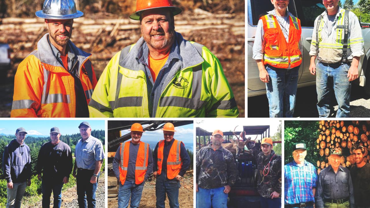 Collage of logging families.