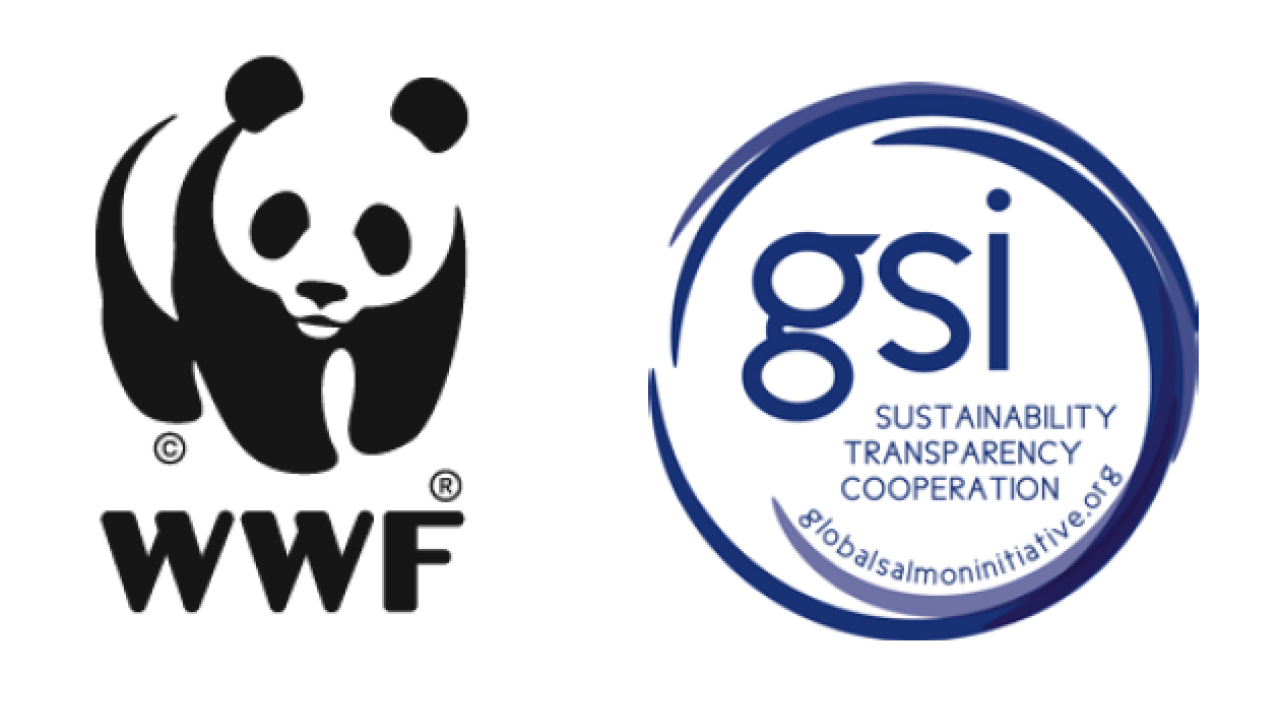 WWF and GSI logos