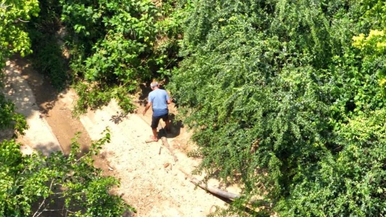 Aerial view of the missing man in a tree-dense area.