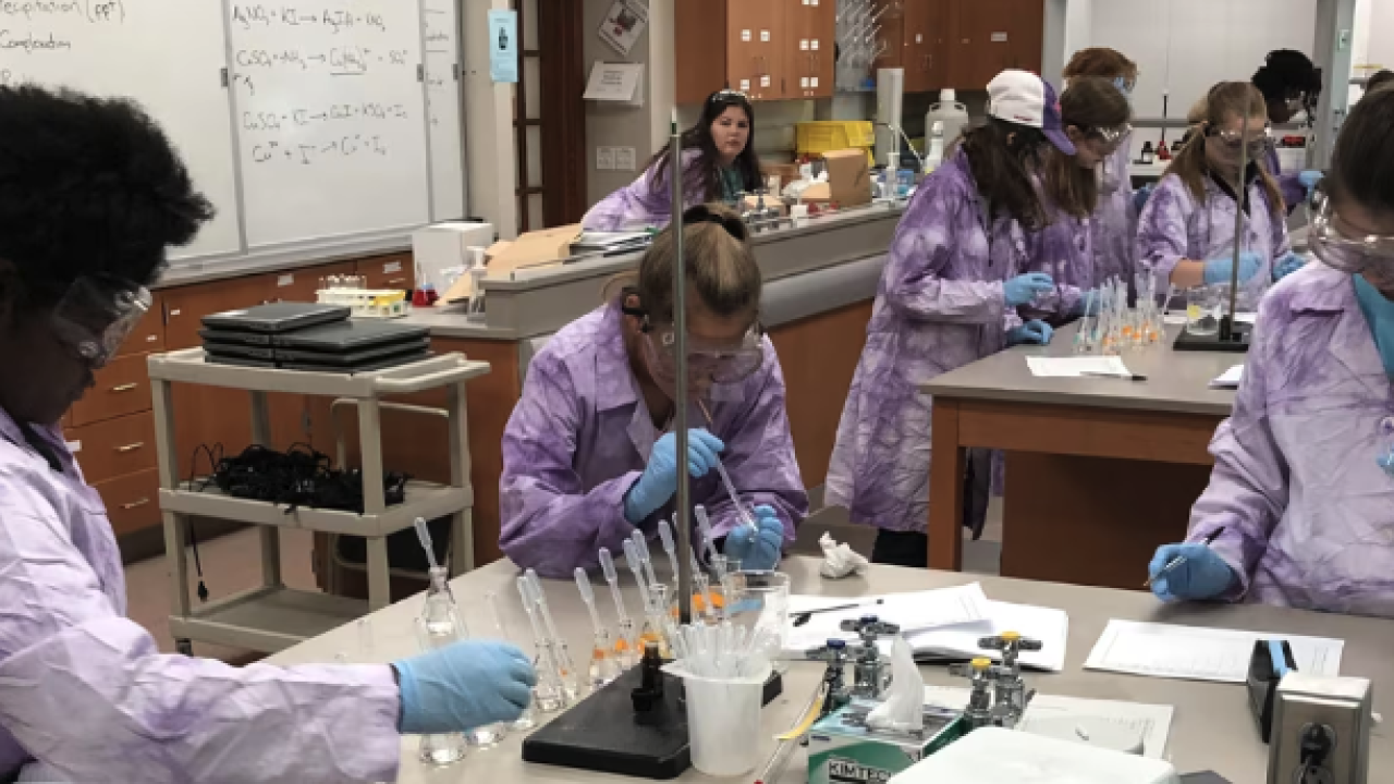 Students in a lab