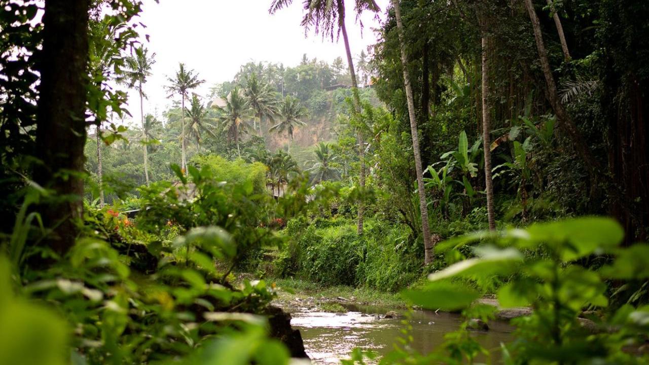 Carbon finance is enabling the long-term protection of the Alto Huayabamba concession by supporting local livelihoods.