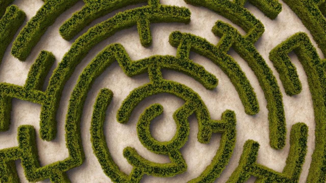Aerial view of a hedge-maze.