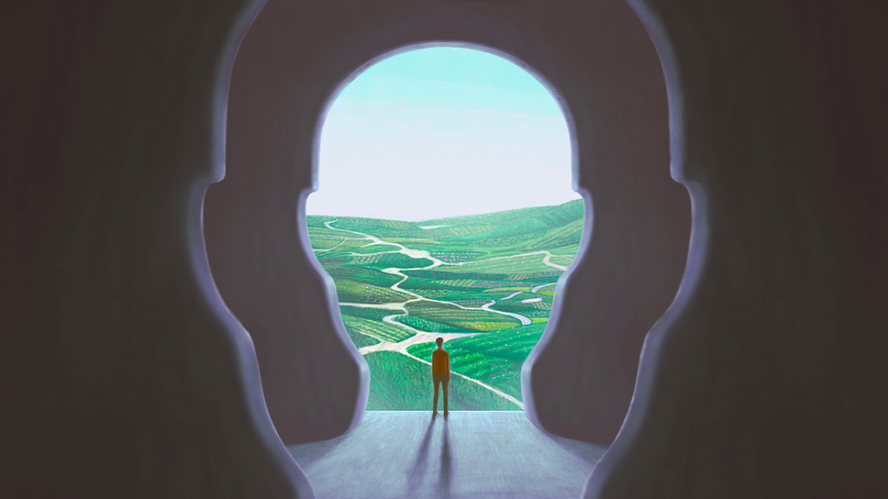 Drawing of a small person looking out of a head-shaped window at a green area. Another head-shaped hole in the wall behind them.