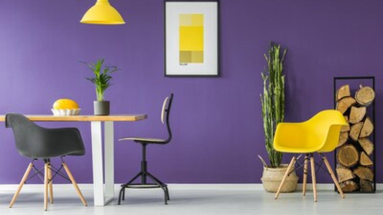 yellow, black, and white office furniture and house plants in front of a deep purple wall