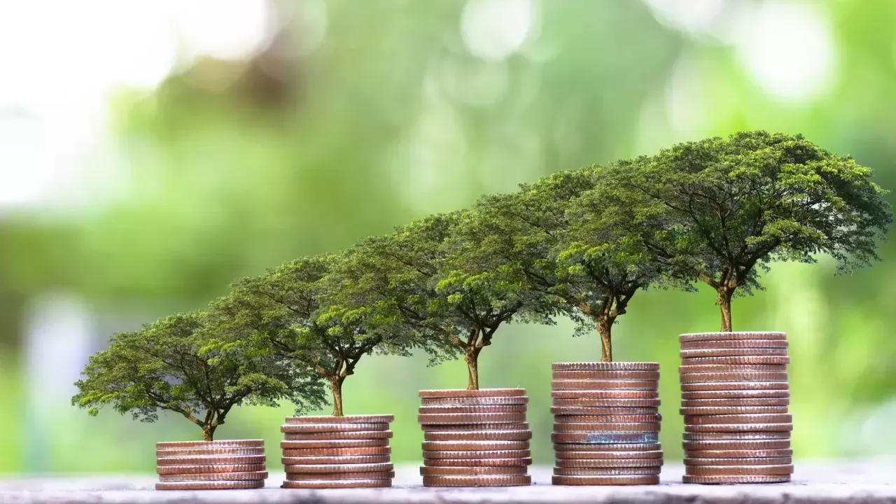 Digital imagery of small trees growing out of stacks of coins.