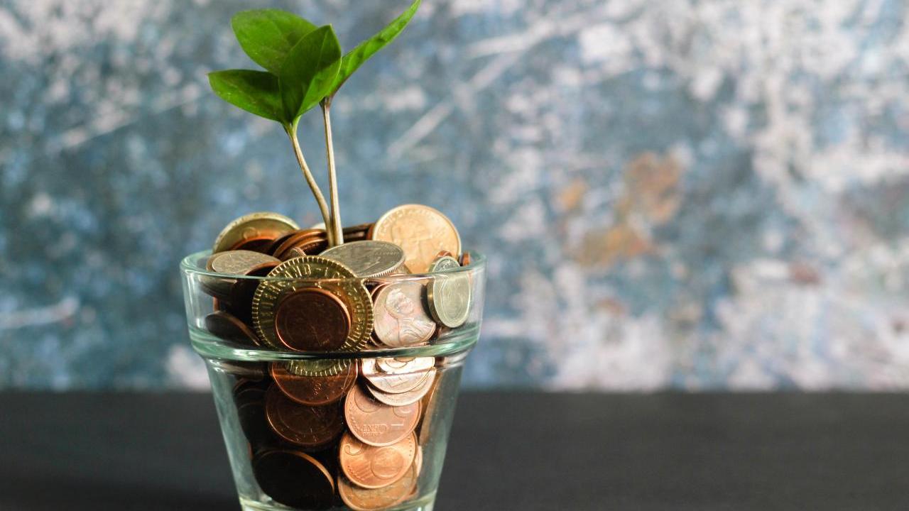 A seedling growing from a small jar of coins.