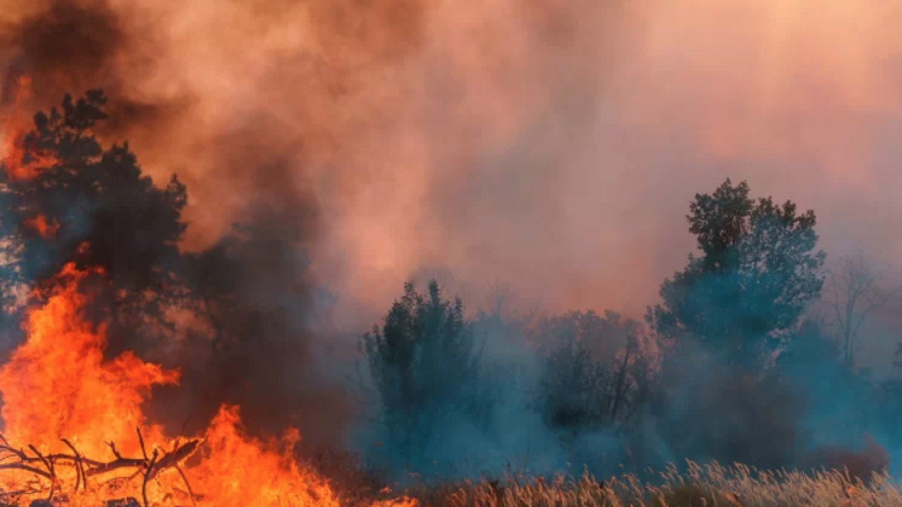 Investing in Extreme weather