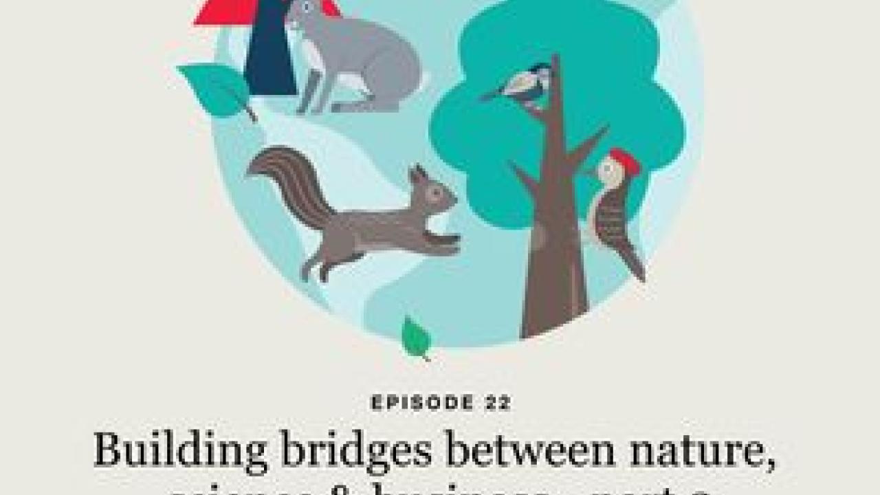 "Building bridges between nature, science & business - part 2" with image of forest
