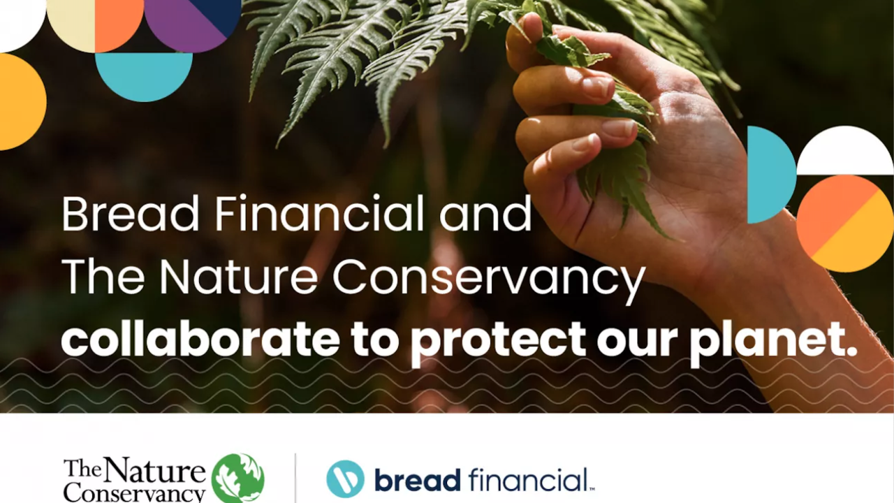 Bread Financial and The Nature Conservancy collaborate to protect our planet - with hand holding a pine branch