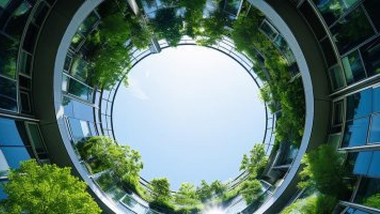 Sky-ward view through a tunnel of windows and greenery.