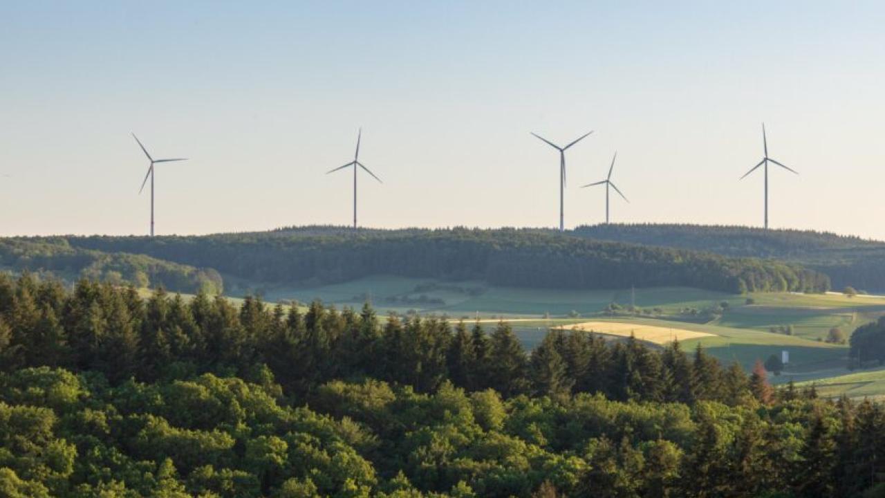 Wide view of a forested and hilly terrain with five wind turbines in the distance.