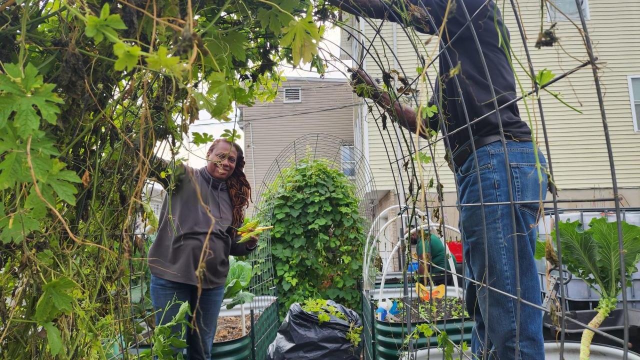 people working with plants