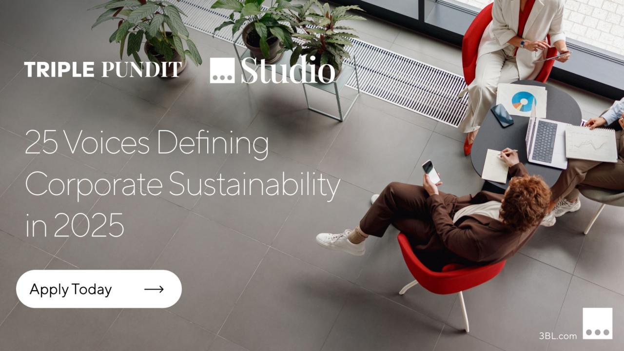 25 Voices Defining Corporate Sustainability in 2025
