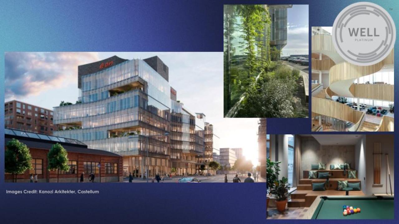 collage of building images
