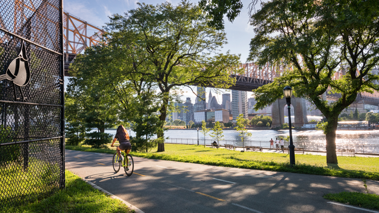person cycling past trees and a bridge