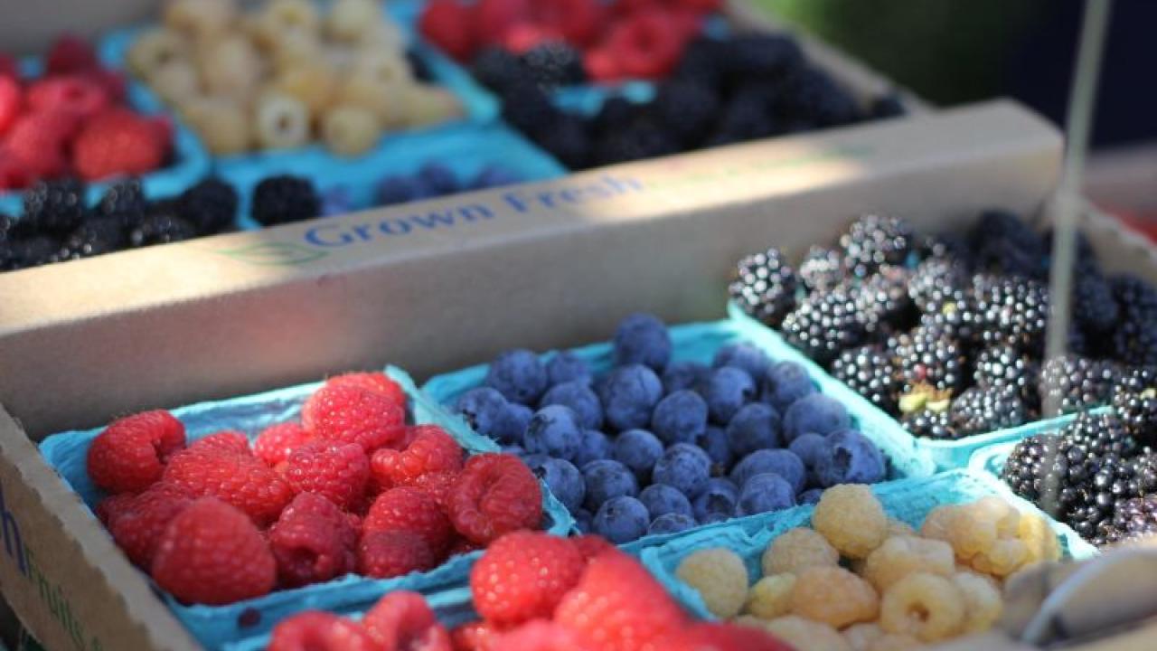 Pints of berries
