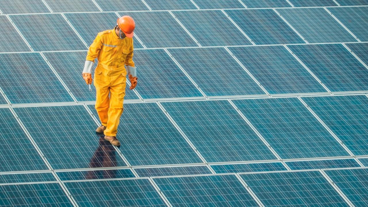Worker walking on solar panels