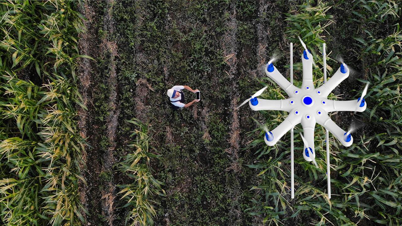 Drone
