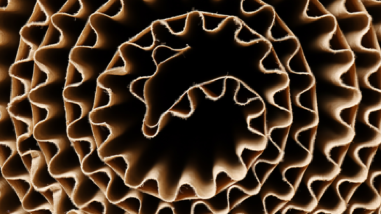 roll of cardboard