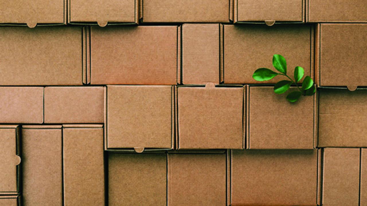 Brown boxes in a stack with a green plant sprig