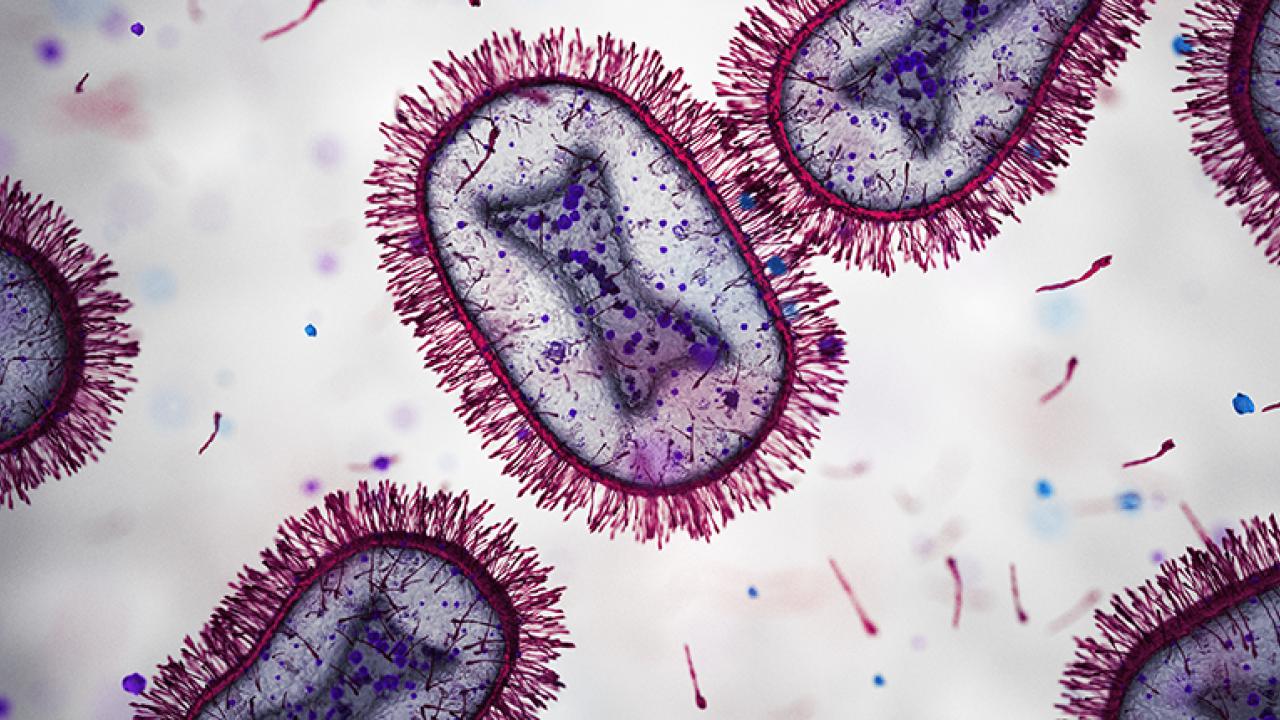 Close up of microscopic cells