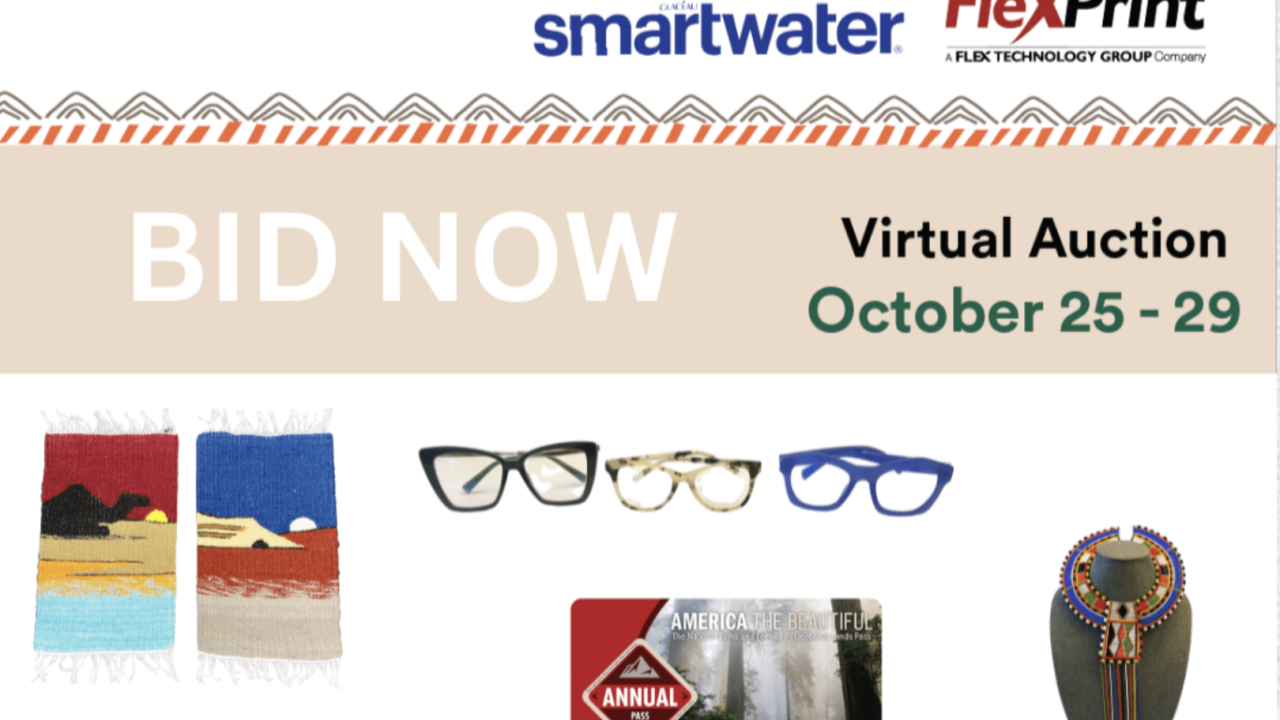 "Party with a Purpose" with logos and images for Virtual Auction on October 25-29