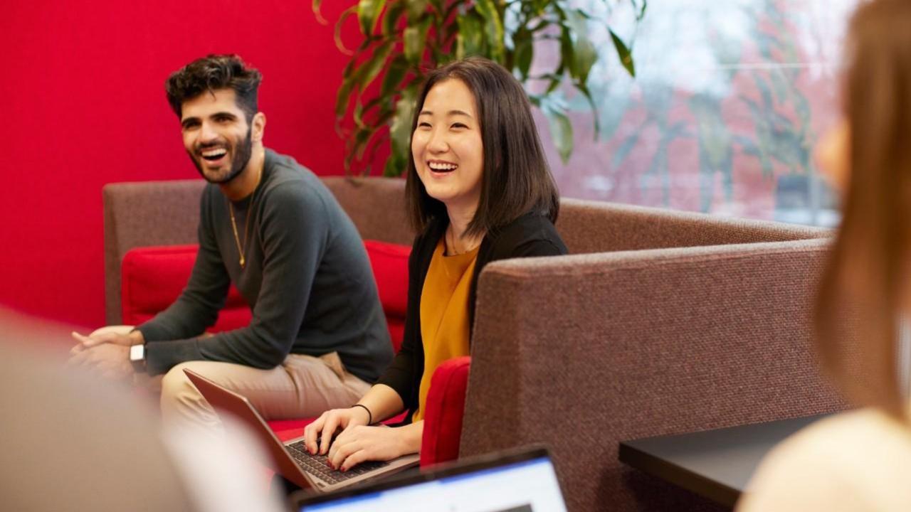 people sitting together and working
