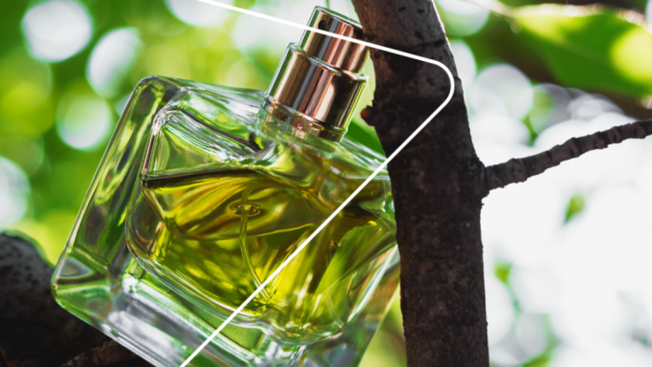 A bottle of perfume in between tree branches.