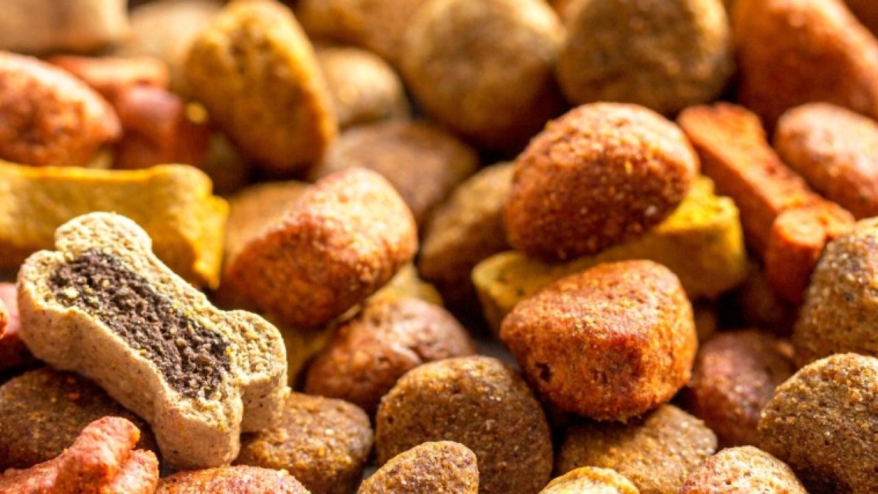 Close up of dry dog food
