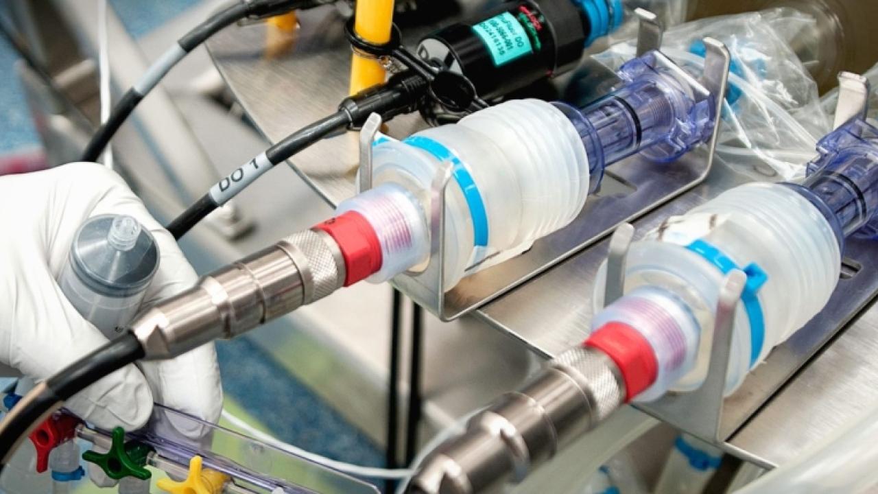 a gloved hand holding tubing into a machine