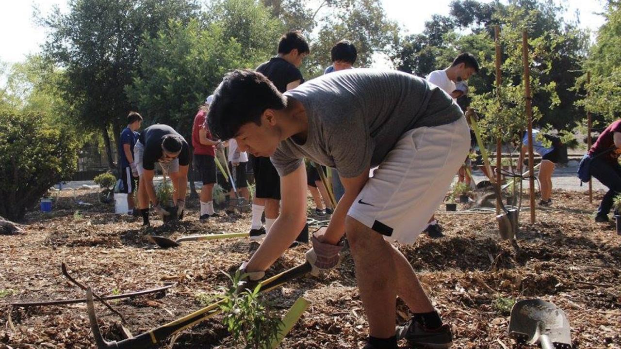 young people planting