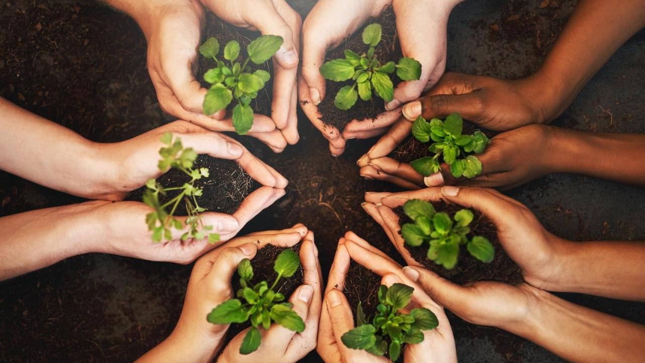 people holding plants