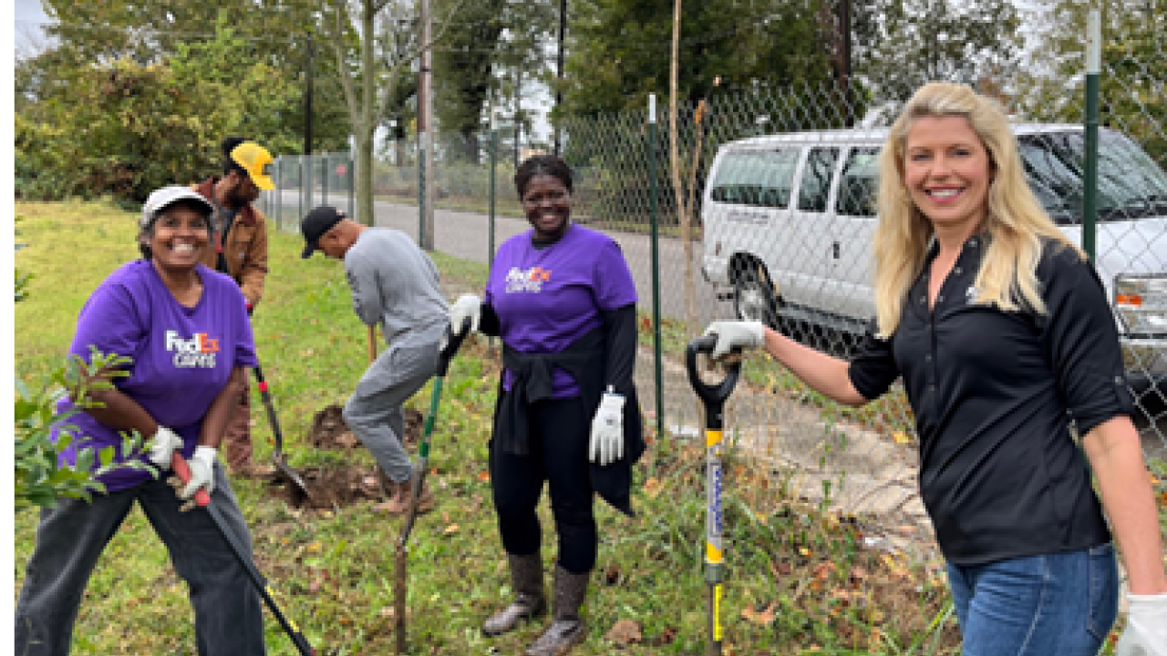 Volunteers planting trees in a park.