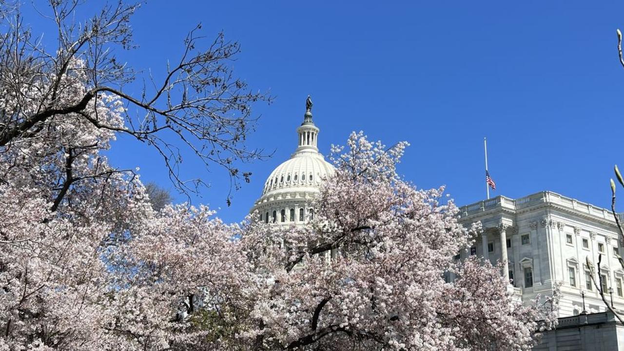 Capitol Hill