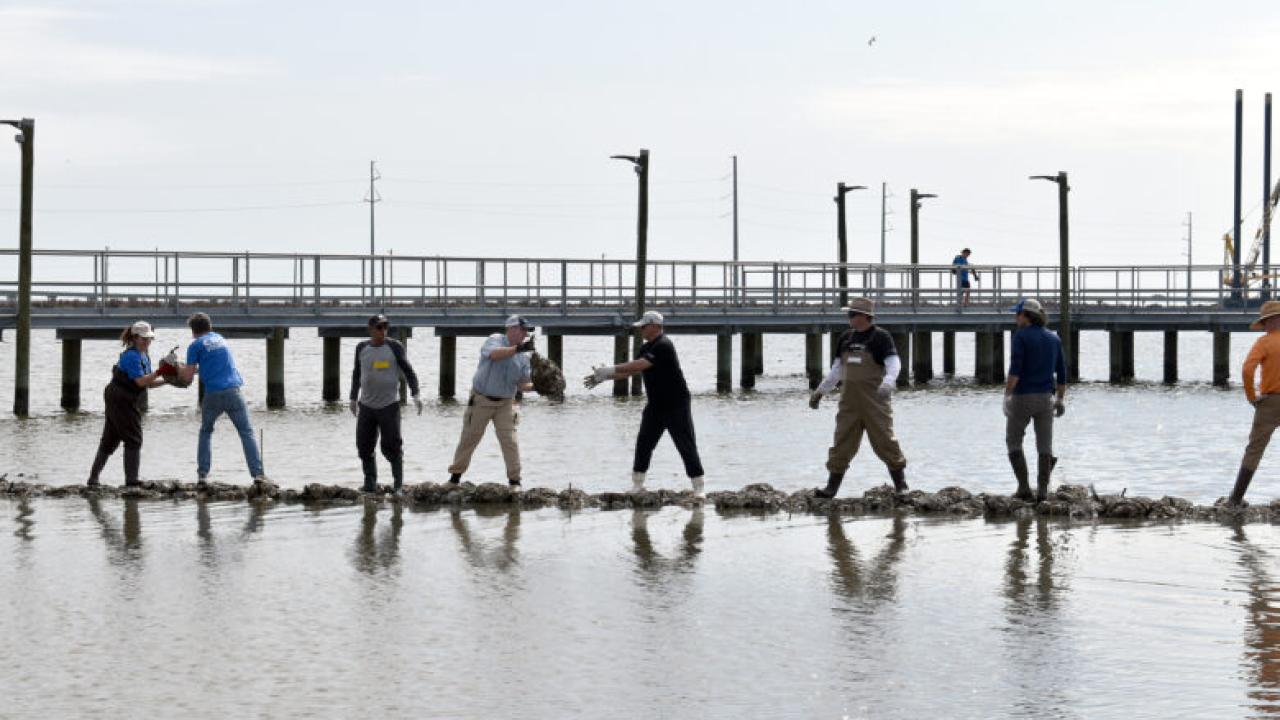 People helping to place sandbags