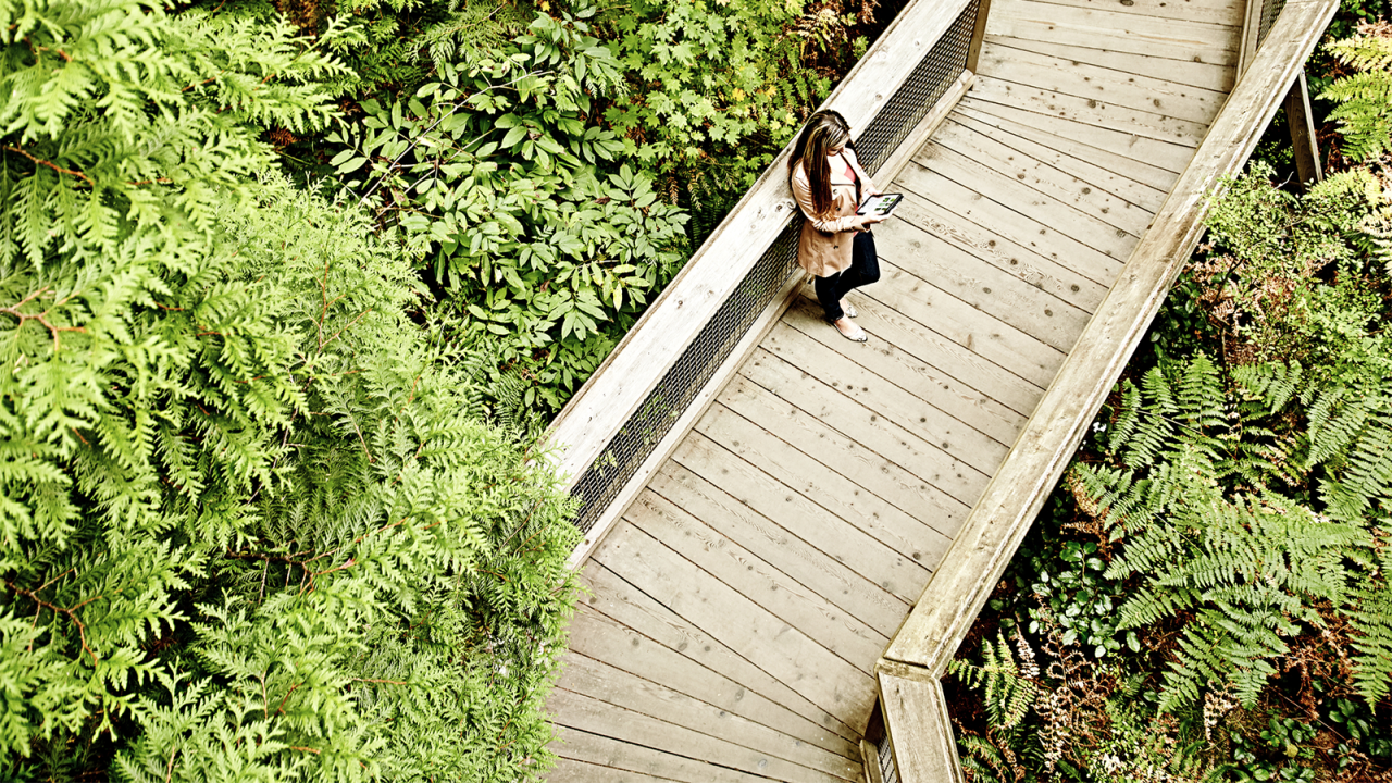 someone standing on a boardwalk surrounded by greenery