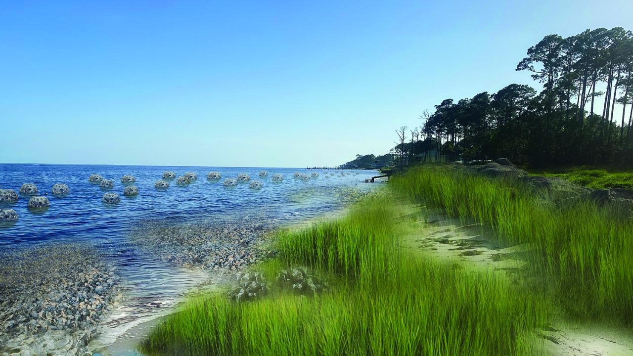 marine landscape