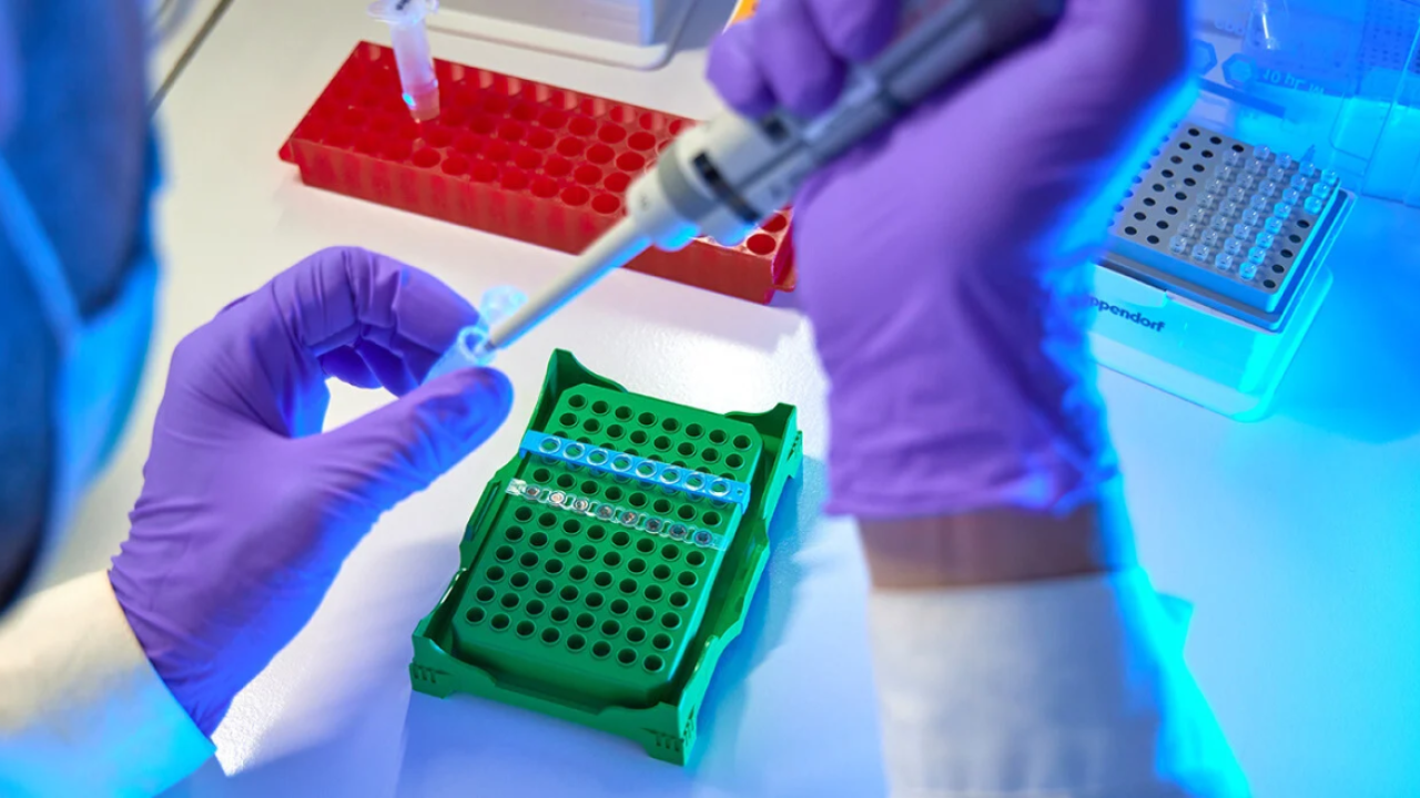 Gloved hands filling a test tube