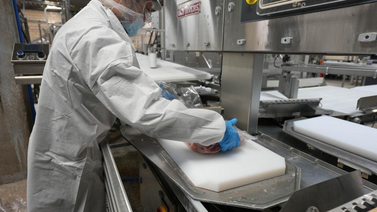 Food processing employee in white lab coat and blue gloves handles meat for packaging on a steel piece of equipment made for food packaging
