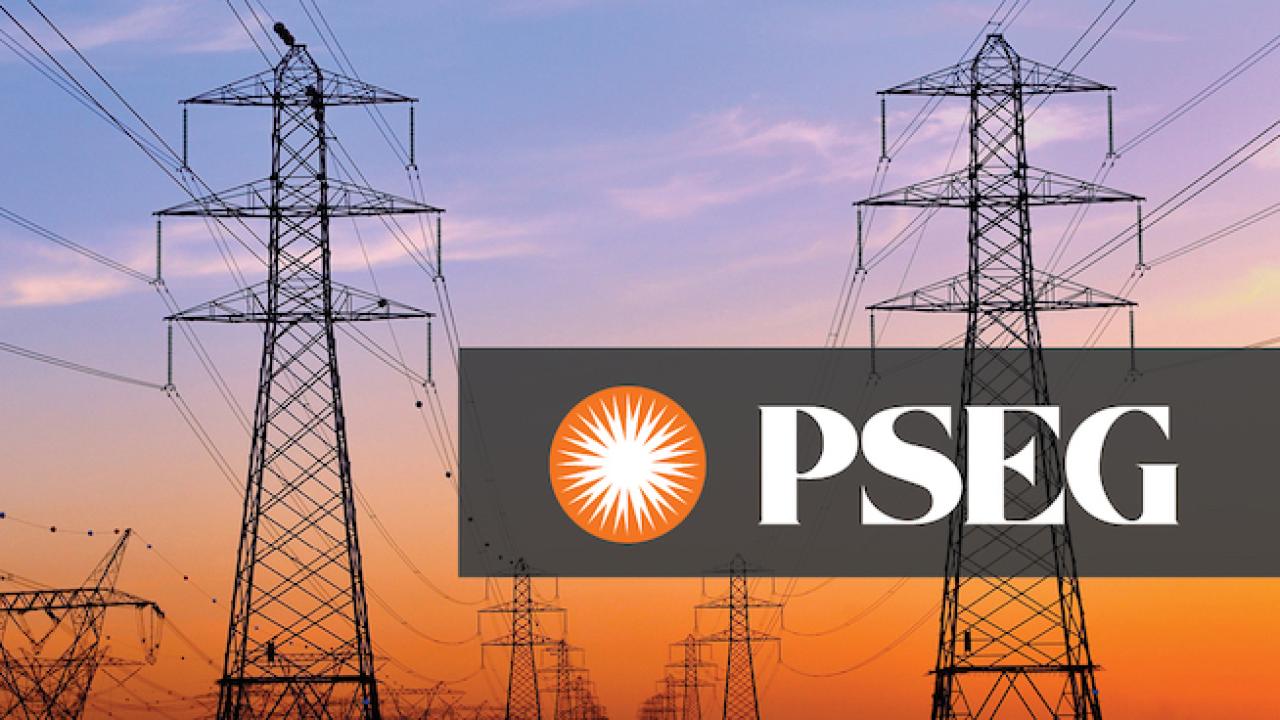 PSEG logo; Image of high tension electrical wires against a purple sky.