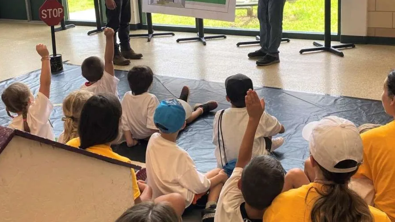 Students raising their hands