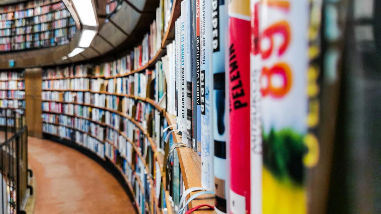 public library shelves