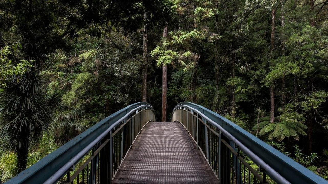 Bridge in the Rainforest